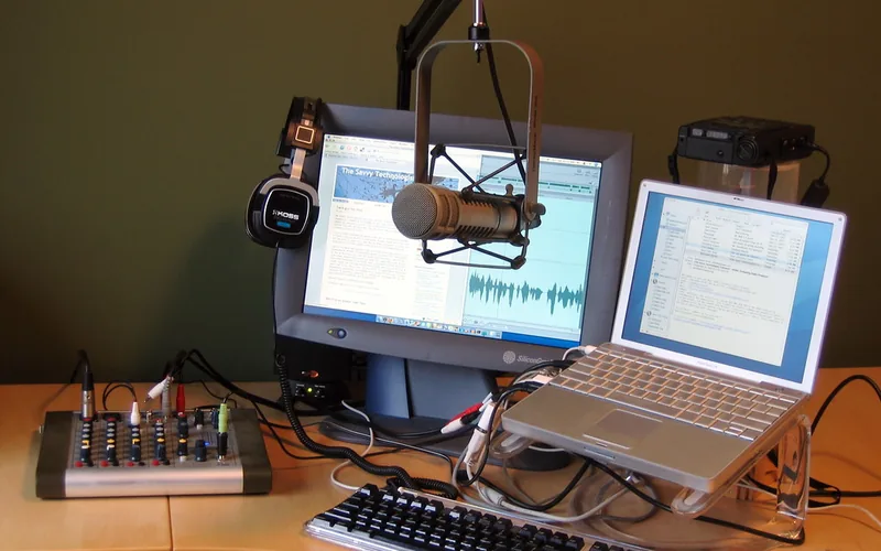 Voice Over Artist