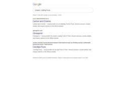 Google search results for ceramic coating Pune