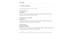 Google search results for boutique hotel Udaipur