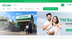 Website Designing Service for Solar E-commerce | Loom Solar Case Study